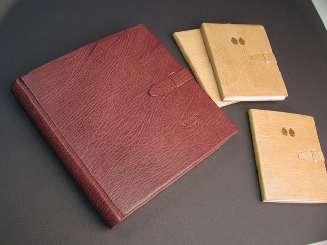 Leather Travel Journal