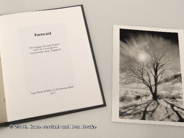 The title page and silver gelatin print included in the hard bound version of Kate Jordahl's and Don Drake's One Poem Book, Forecast