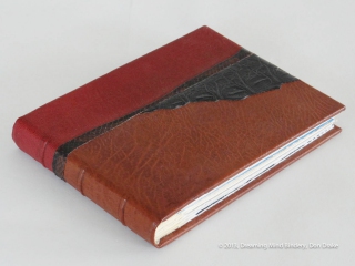 Don Drake's binding of the Bay Area Book Artists' (BABA) collaborative project, AlphaBeastiary, showing the goat, snake, and alligator leather.