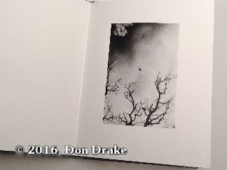 'Bird in Flight', image 9 in Kate Jordahl's and Don Drake's One Poem Book, Here